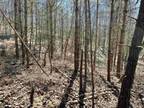 Plot For Sale In Elkins, West Virginia