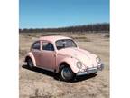 1964 Volkswagen Beetle