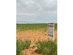 Plot For Sale In Seagraves, Texas