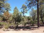 Plot For Sale In Payson, Arizona