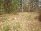 Plot For Sale In Hayes Township, Michigan
