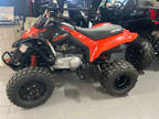 2024 Can-Am DS 250