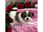 Abby