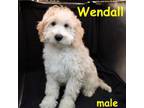 Wendall