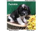 Twinkle