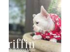 Griffin *financing available