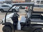 2019 Kawasaki Mule SX 4X4 SE