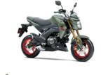 2023 Kawasaki Z125 Pro