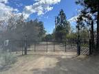 Plot For Sale In Lakehead, California