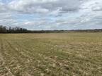 Plot For Sale In Portland, Tennessee