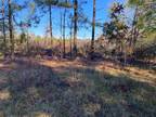 Plot For Sale In Cushing, Texas