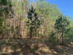 Plot For Sale In Mendenhall, Mississippi