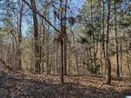 Plot For Sale In Anniston, Alabama