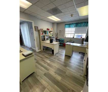 Professional flex spaces in Palm Harbor in Palm Harbor FL is a Office Space for Sale