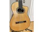 Guitar Takamine Hirade TH90