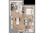 Bemiston Place Apartments - Austin Premium