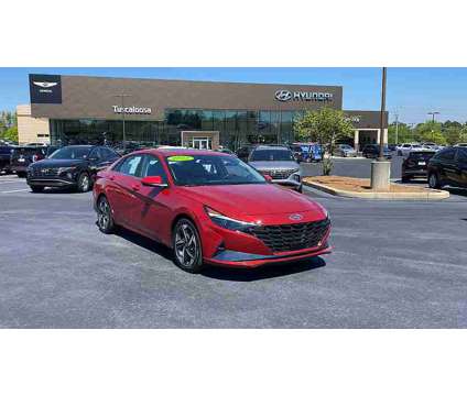 2023 Hyundai Elantra Limited is a Red 2023 Hyundai Elantra Limited Sedan in Tuscaloosa AL