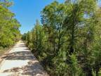 Plot For Sale In Caryville, Florida