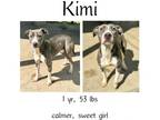 Adopt Kimi a Mixed Breed