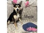 Adopt Maggie a Mixed Breed