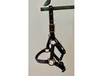 Mini horse halter - Black nylon halter with brass and chrome