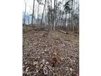 Plot For Sale In Rocky Top, Tennessee