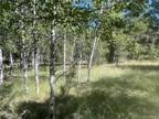 Plot For Sale In Florissant, Colorado