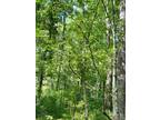 Plot For Sale In Gretna, Virginia