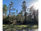 Plot For Sale In Orlando, Florida