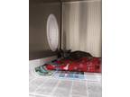 Adopt 2023-07-124 a Domestic Shorthair / Mixed (short coat) cat in Winder