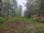 Plot For Sale In Cullowhee, North Carolina