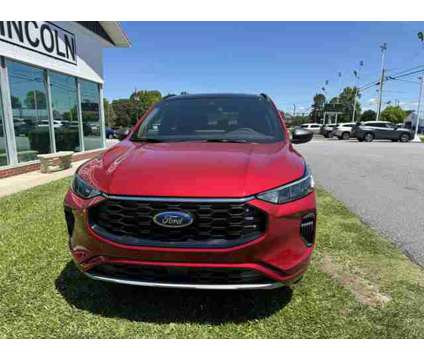 2024 Ford Escape ST-Line is a Red 2024 Ford Escape Car for Sale in Cornelia GA