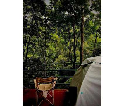 Tent stay in wayanad is a Other Services service in Wayanad KL