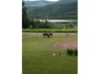 22 ACRES IN SOUTH SHUSWAP with LAKEFRONT