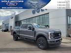 2024 Ford F-250 Gray, 10 miles