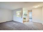 Condo For Sale In Denver, Colorado