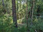 Plot For Sale In Willits, California