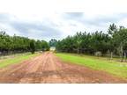 Plot For Sale In Gilmer, Texas