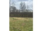 Plot For Sale In Red Boiling Springs, Tennessee