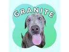Adopt Granite a Mixed Breed