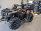 2021 Honda Rubicon Deluxe ATV for Sale