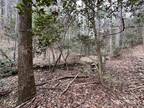 Plot For Sale In Taylorsville, North Carolina