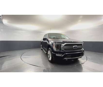 2021 Ford F-150 Limited is a Blue 2021 Ford F-150 Limited Truck in Daphne AL