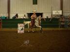 Awesome Palomino Paint Gelding