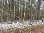 Plot For Sale In Bristol, Maine