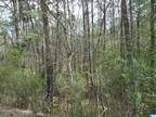 Plot For Sale In Pinson, Alabama