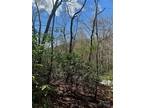 Plot For Sale In Mills River, North Carolina