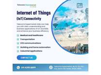 Harnessing Connectivity: Exploring the Internet of Things (IoT)