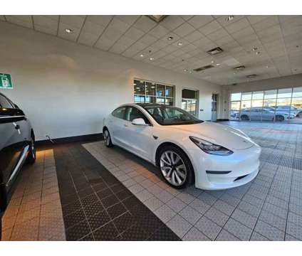 2019 Tesla Model 3 Standard Range is a White 2019 Tesla Model 3 Car for Sale in Morton Grove IL
