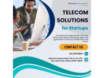 Empowering Startups: Tailored Telecom Solutions for Business Success